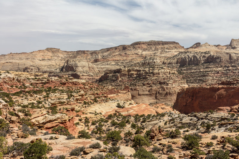 Waterpocket Fold from Frying Pan Trail