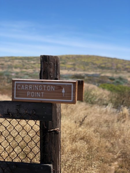 Waypoint on Carrington Point Trail