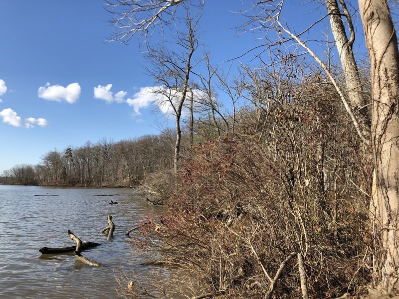 Nice view from Bushey Point Trail. I’ve seen heron and eagles from this spot.