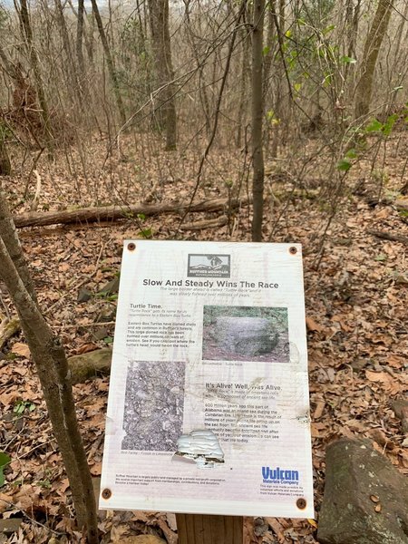 Informational Displays along the trail