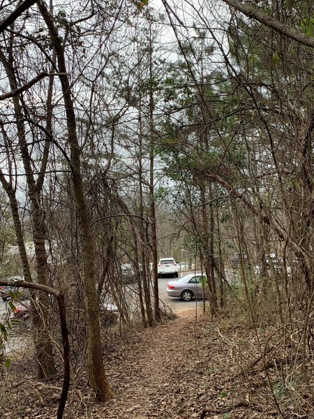 End of Trillium Trail- ends at the parking lot