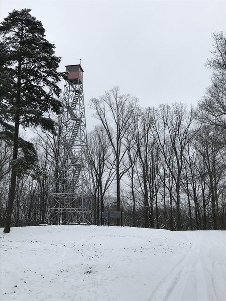 Brush Ridge Fire Tower