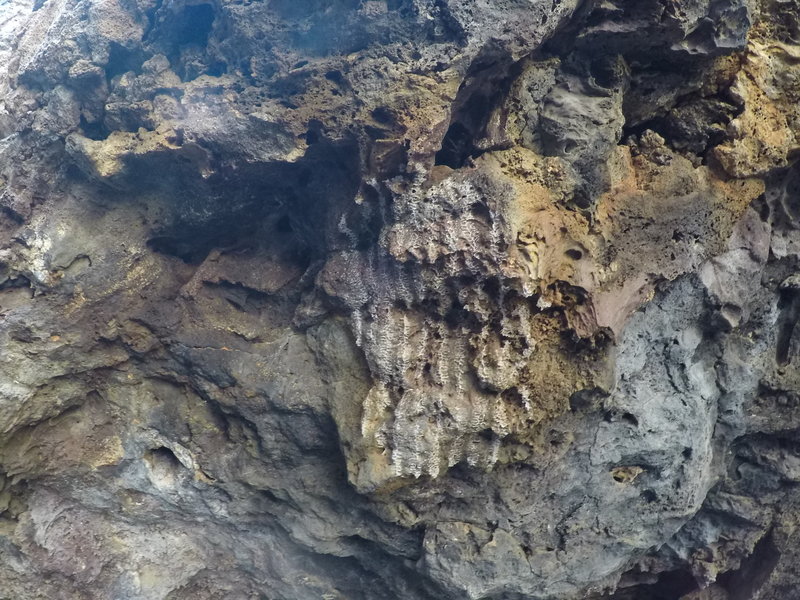 Mineral deposits in the rocks.