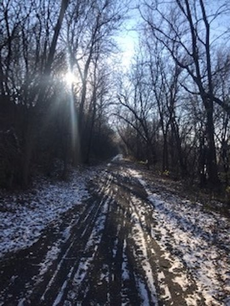 Paved section of trail near Shakopee