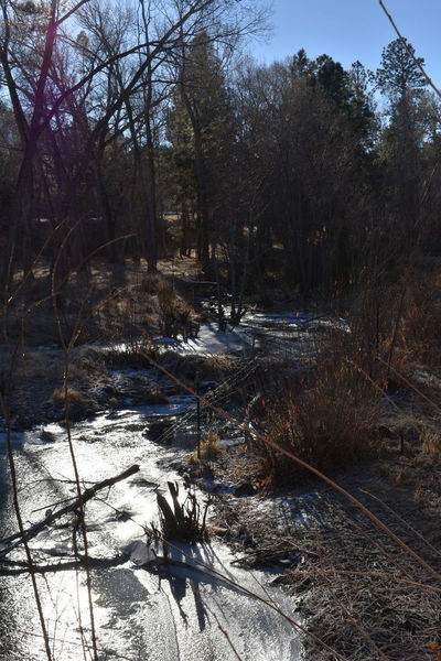 South Fork of the Little Colorado River