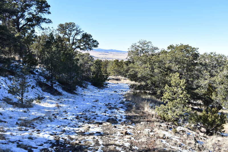 Flat Top Trail (December 2018)