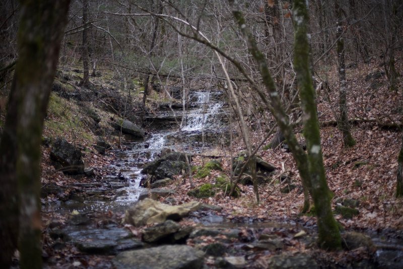 Cascades and small waterfalls can be found along the Homesteader trail in several locations.