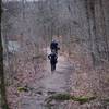 As the trail levels out, it follows the Roark river for a short distance.