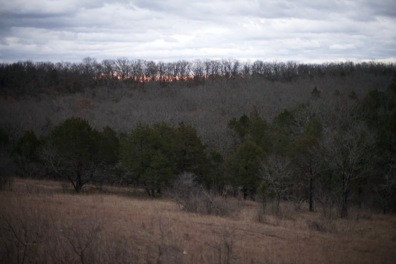 Toward the end of the Glade Trail, it opens up and provides a limited view, which is nice at sunset where the evening light shines through the trees.