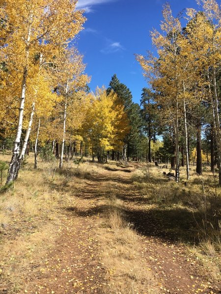 Fall at Poll Knoll