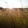 Low sun at start of evening hike looking over Yellowhouse Draw.