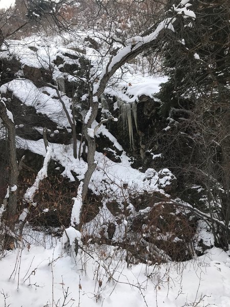 Some large icicles forming near the Heughs Canyon Trail in January, 2019.