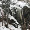 Large icicles forming near the Heughs Canyon Trail, January 2019