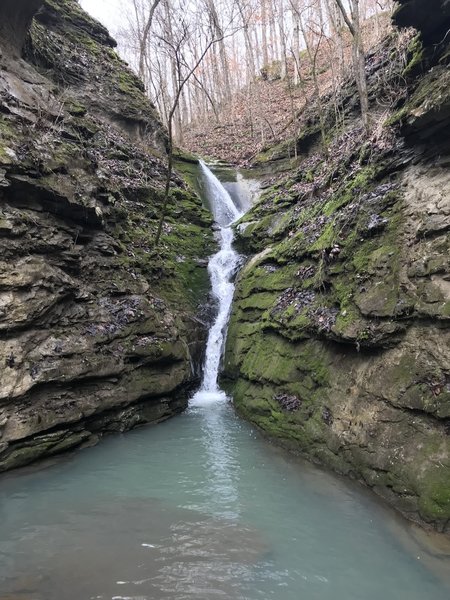 Elise Falls in January