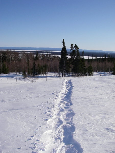 Snowshoe trail D3 looking towards Goose Bay.