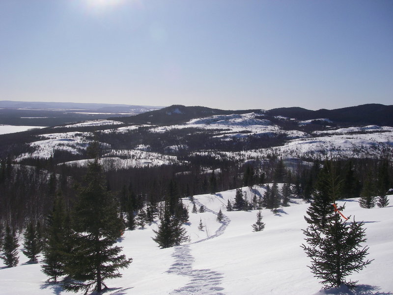 Beginning ascent of snowshoe trail E3 with view of ski trails below.