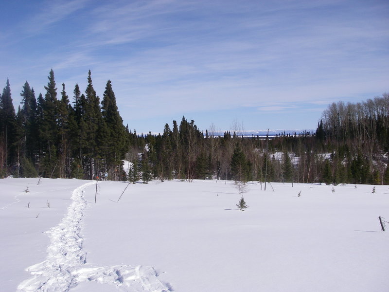 Intersection of Snowshoe trails E3 and E2 with Aspen Lookout to the right.