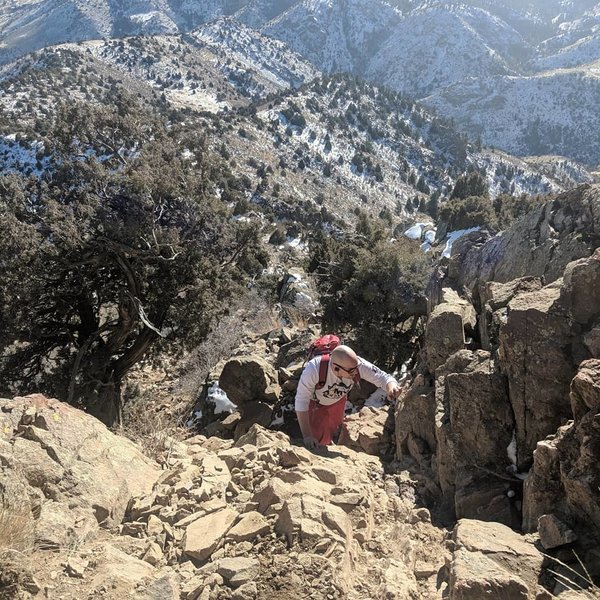 View of rock scramble near the top.