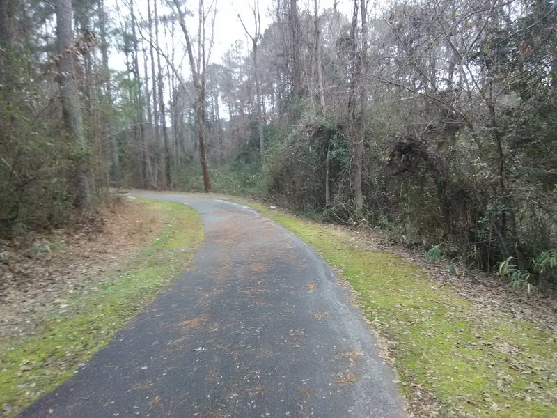 Looking downhill on Jeff Wells Trail.