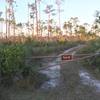 Gate on Long Pine Key Trail