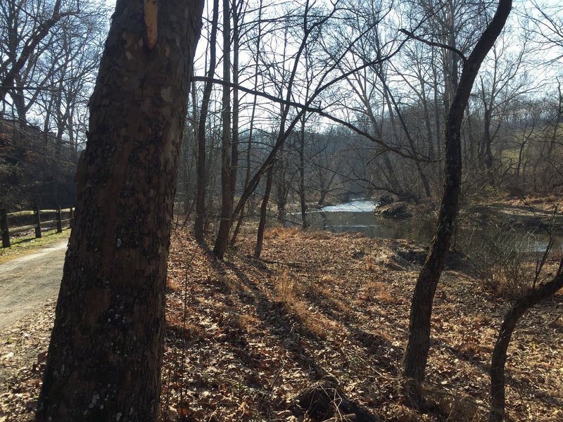 A Creek seen from the Trolley Trail in Auburn Valley State Park.