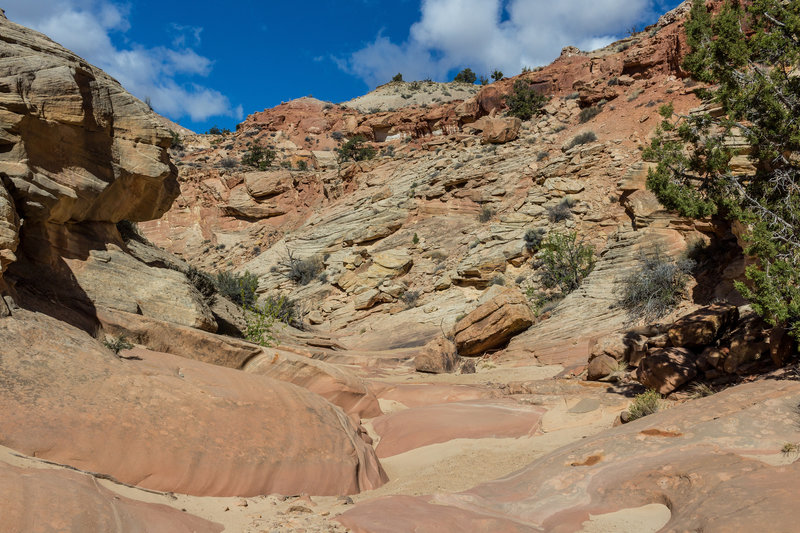 Burro Wash starts out fairly wide with a sandy and rocky surface.