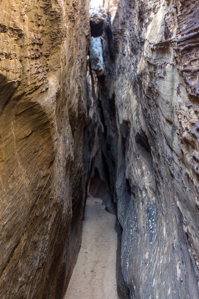 Debris is stuck in Burro Wash and requires you to carefully navigate this very confined slot canyon.