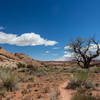 The first mile of the Burro Wash Route is through very open desert territory.