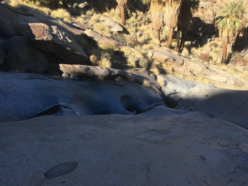 Beautiful rock pools and palm oasis.