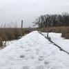 Floating boardwalks guide you through the marsh.