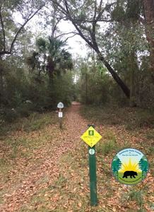 Run start for the 5K, 12K, and half-marathon trails.  Seminole State Forest Run for the Woods.