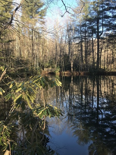 Across the Sanctuary Pond on a sunny winter day.