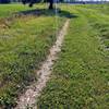 Service road that forms the beginning of the trail