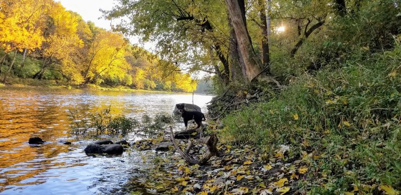 River in autumn