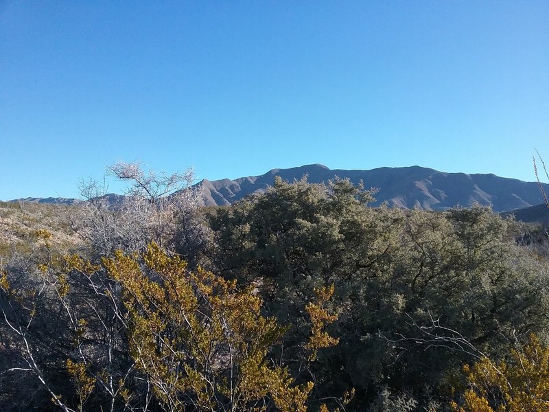 View of the Franklin Mountains in the winter