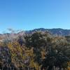 View of the Franklin Mountains in the winter