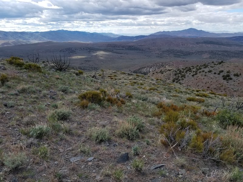 Long distance glimpse of Pyramid Lake looking east from summit.