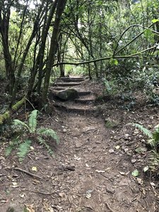 A less steep section.