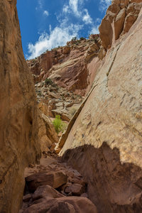 Some scrambling is required to get over the numerous boulders in the wash