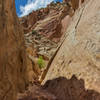 Some scrambling is required to get over the numerous boulders in the wash