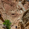 Cottonwood Wash soon makes you feel very small when you look up its gigantic walls