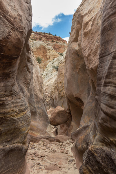 Some boulders are very inconveniently in the way as you get through Cottonwood Wash.