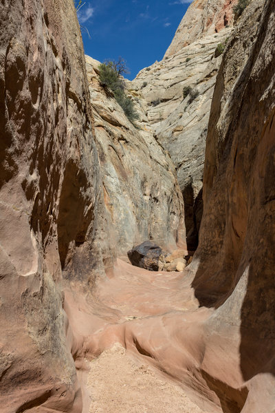 Kayenta and Navajo Sandstone with some volcanic boulders.