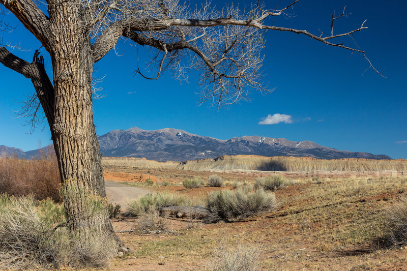 Henry Mountains from Cottonwood Wash trailhead