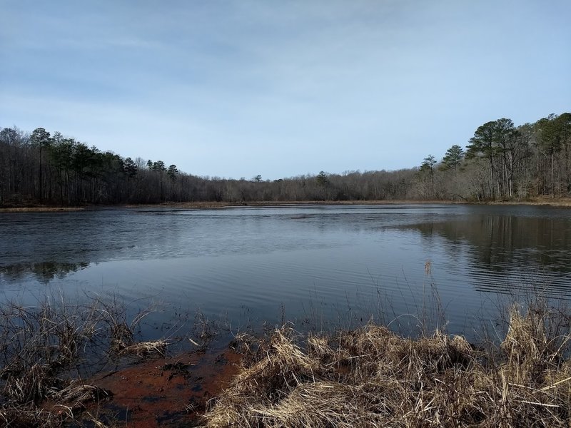 Beaver Lake Trail