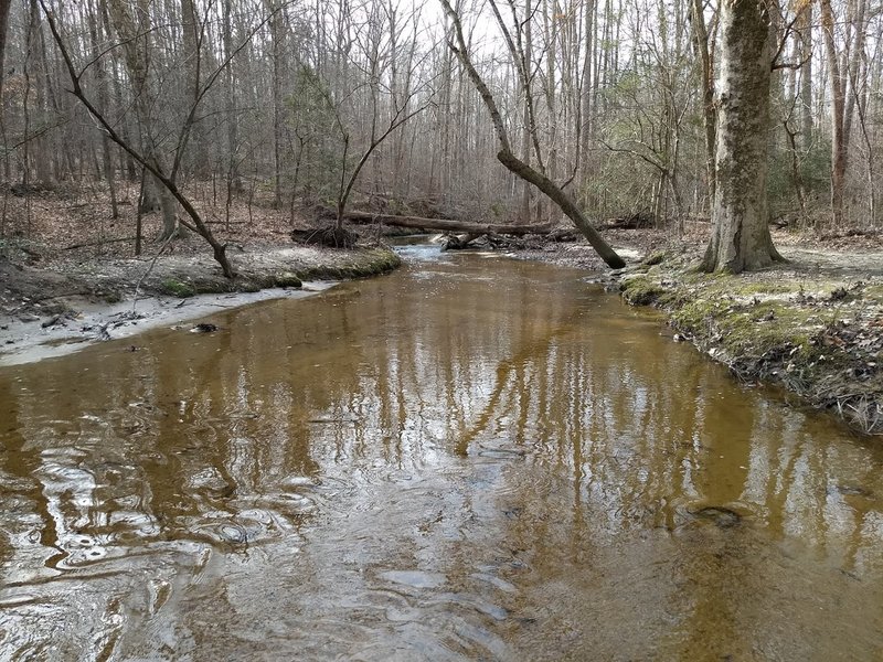 Beaver Lake Trail