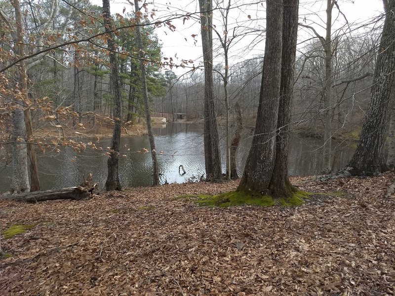 Beaver Lake Trail