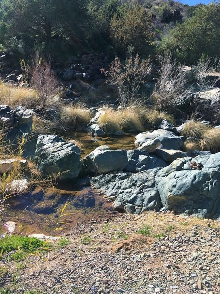 Cave Creek crossings can be slightly tricky, but I never got my feet wet.