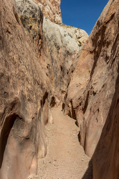 Kayenta Sandstone underneath the Navajo Sandstone