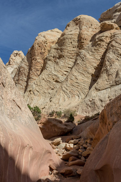 This Navajo Sandstone formation almost looks like a foot with toes